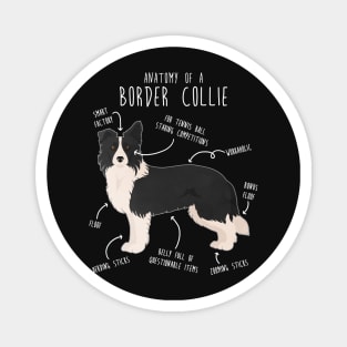 Border Collie Dog Anatomy Magnet